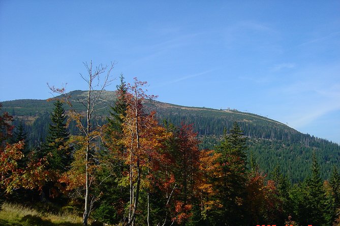 13-Day Highlights of Poland Tour - private for 2-10 persons - Wadowice, Dunajec rafting, and Zakopane