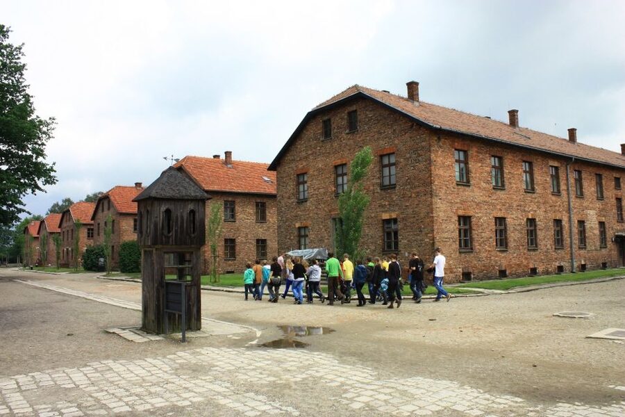 Auschwitz-Birkenau and Krakow Private Car Trip from Katowice - Who should choose this experience