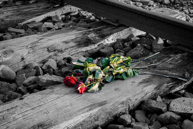 Auschwitz Birkenau and Salt Mine Full Day Guided Tour from Krakow hotel pick up - Practical preparation for the morning