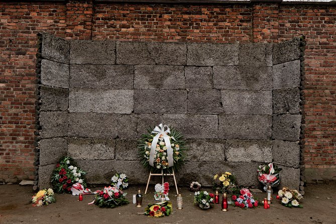 Auschwitz-Birkenau and Wieliczka Salt Mine Day Tour from Krakow with private car - A long day, made easier by the driver