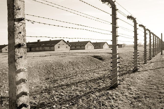 Auschwitz- Birkenau and Wieliczka Salt Mine in One Day - Birkenau: scale, distance, and reflection