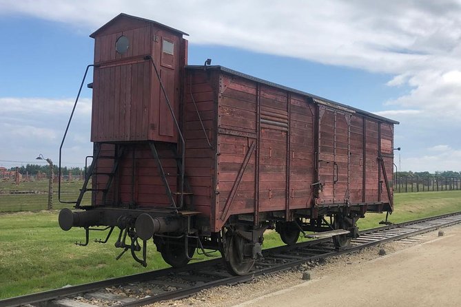 Auschwitz-Birkenau and Wieliczka Salt Mine Museum Guided Tour from Krakow - Who should book this combined tour?
