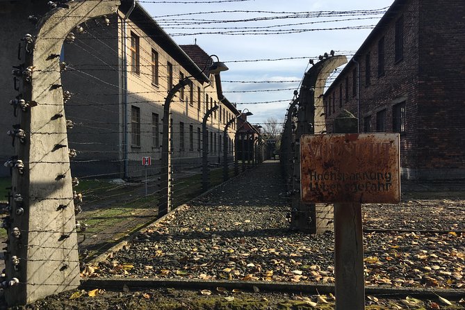 Auschwitz-Birkenau Day Tour from Wroclaw - Birkenau and the railway platform
