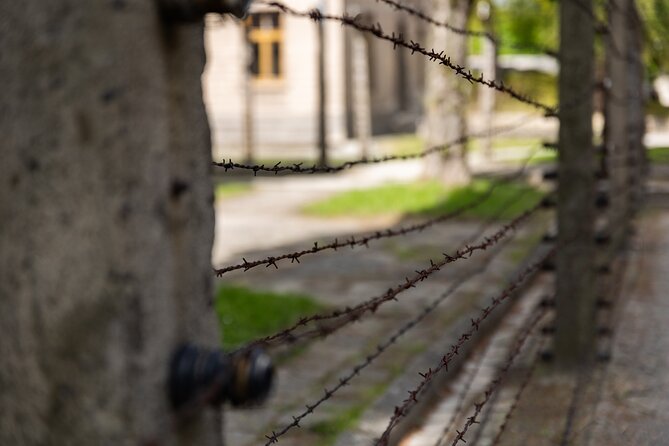 Auschwitz-Birkenau: Day Trip & Transfer from Kraków - What to bring for a respectful, demanding day
