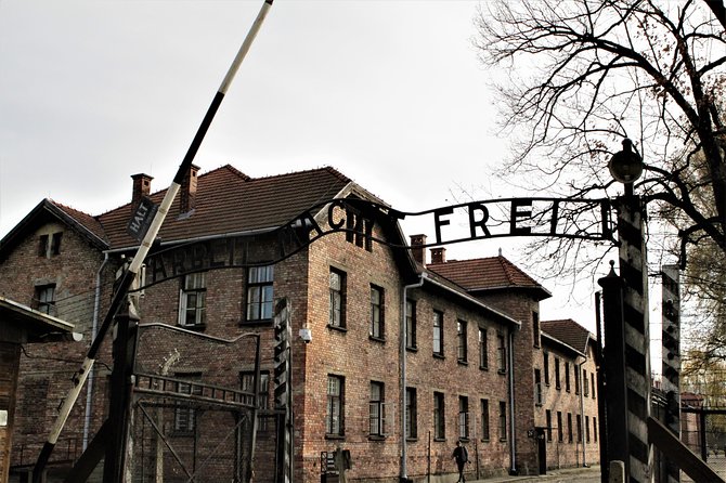 Auschwitz & Birkenau English guided tour by private transport from Katowice - Who will get the most from this tour