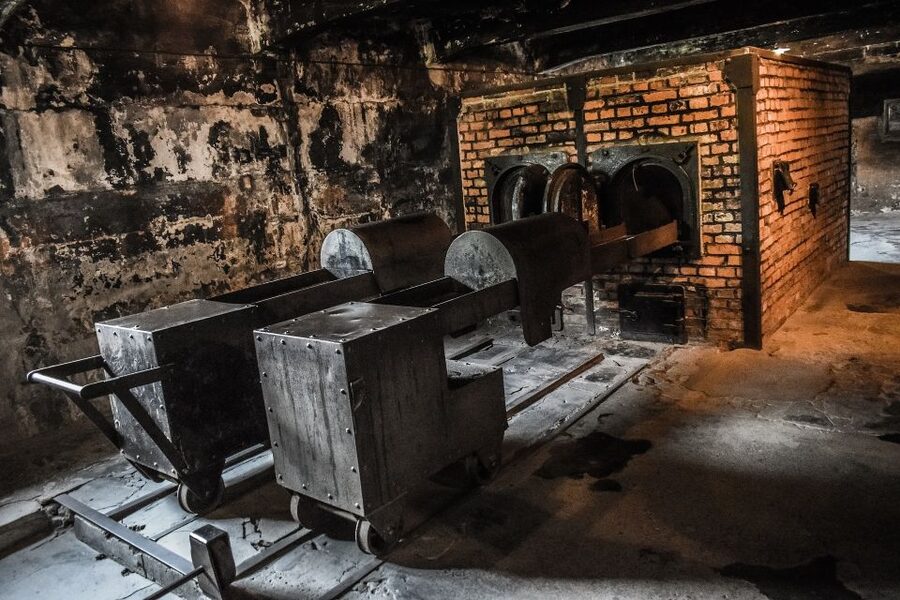 Auschwitz-Birkenau: Entrance Ticket and Live Tour Guide - Why Auschwitz Requires a Guided Visit