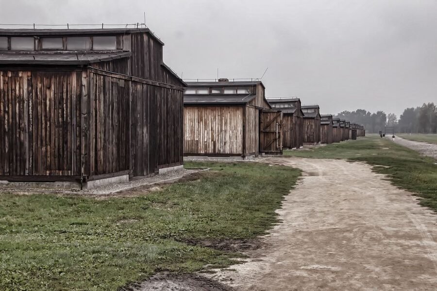 Auschwitz-Birkenau: Entrance Ticket and Live Tour Guide - Meeting at Auschwitz I in Oświęcim