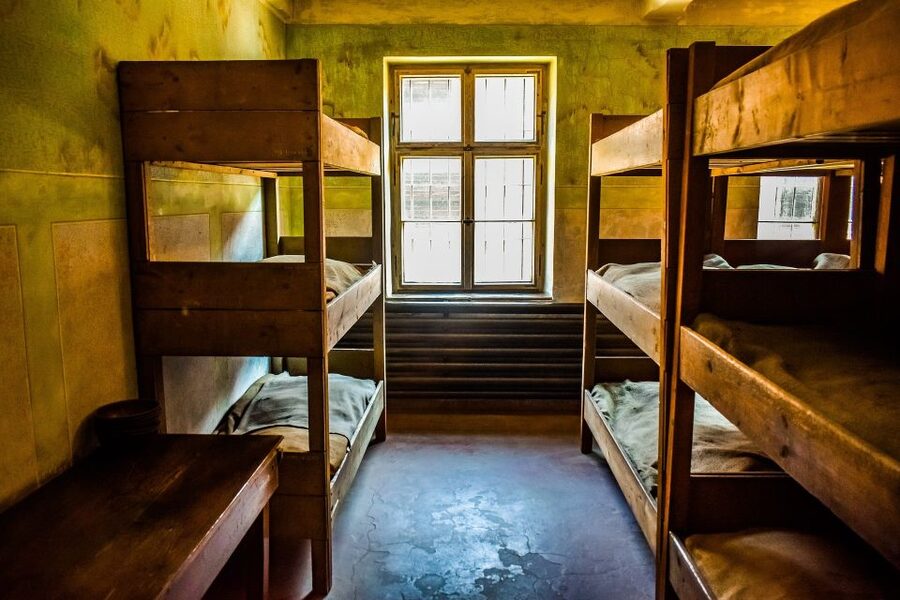 Auschwitz-Birkenau: Entrance Ticket and Live Tour Guide - The Guide, Headphones, and Pace
