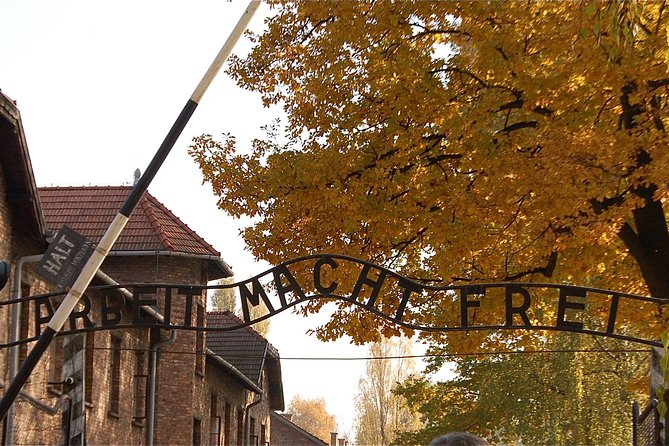 Auschwitz Birkenau Guaranteed Guided Tour or your money back - Birkenau, the unloading ramp, and the camp ruins
