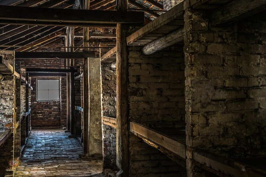 Auschwitz-Birkenau: Guided Tour and Skip-The-Line Ticket - Bags, identification, and practical rules