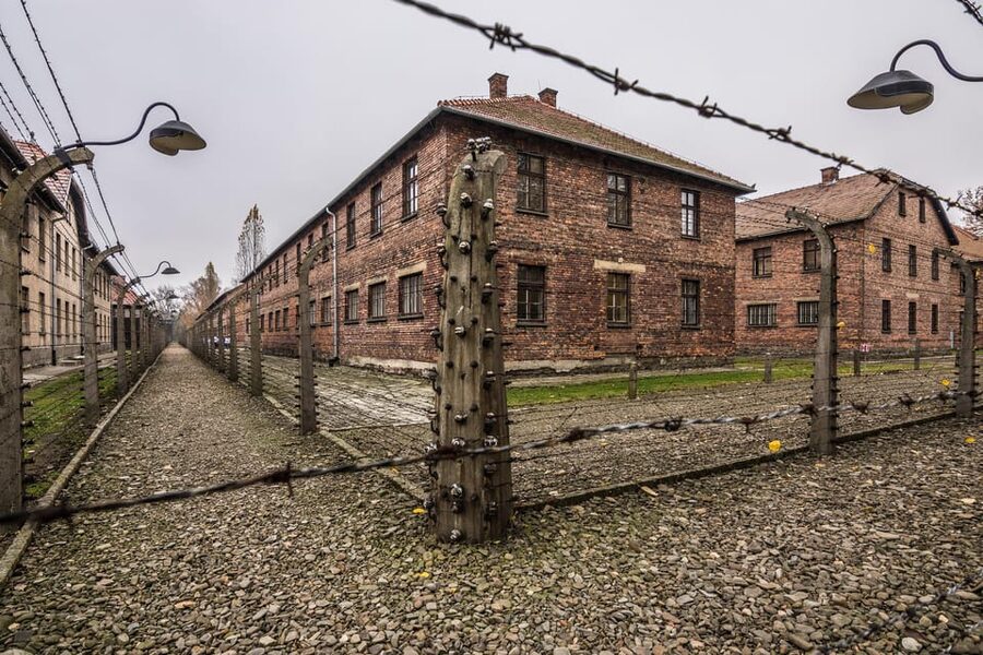 Auschwitz-Birkenau: Guided Tour and Skip-The-Line Ticket - Should you book the Auschwitz-Birkenau guided tour?