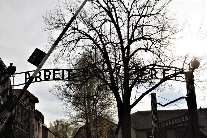 Auschwitz-Birkenau Guided Tour by Private Transport from Krakow - Practical details that can make or break the day