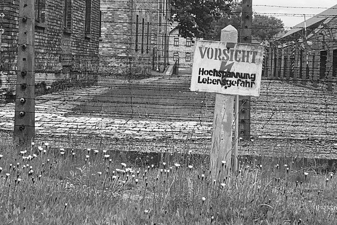 Auschwitz-Birkenau guided tour from Krakow - private car - Three hours at the museum