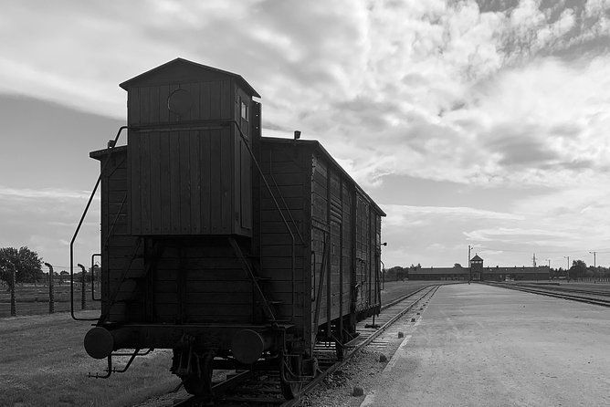 Auschwitz-Birkenau guided tour from Krakow - private car - Food, timing, and the short break