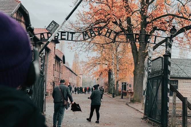 Auschwitz Birkenau guided tour from Krakow private chauffeur - Why this day trip matters