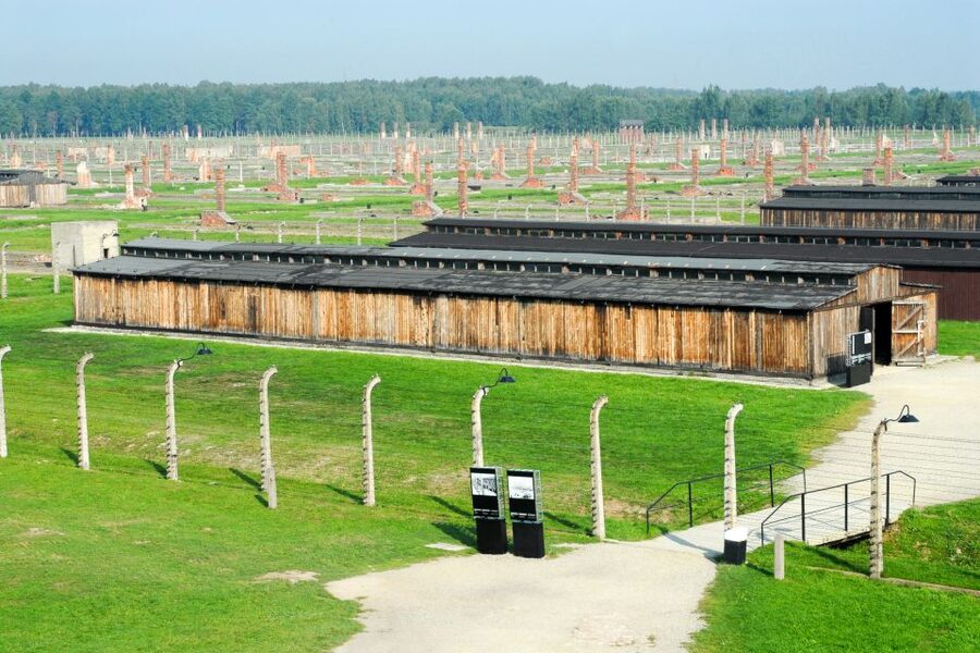 Auschwitz-Birkenau Guided Tour & Transfer from Krakow - Who should book this Auschwitz tour?