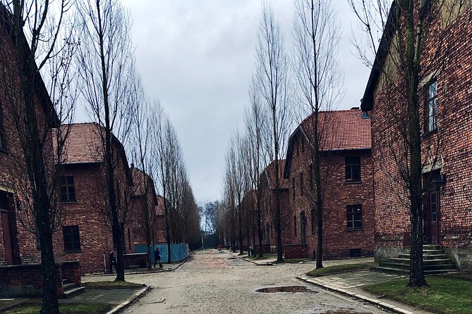 Auschwitz-Birkenau Guided Tour with Private Transport from Kraków - Entering Auschwitz I