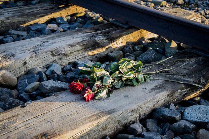 Auschwitz Birkenau Guided Tour with Ticket Hotel Pickup Small Van - Walking through the vast Birkenau site