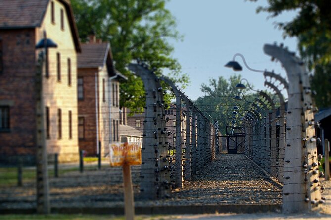 Auschwitz & Birkenau Live Guide Tour Entrance Ticket - Two sites, one difficult morning