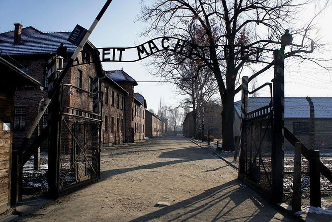 Auschwitz Birkenau Memorial and Museum group tour from Krakow - The guide makes the difference