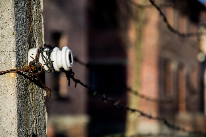 Auschwitz-Birkenau Memorial and Museum with Private Transfers from Krakow - Who will get the most from this experience?