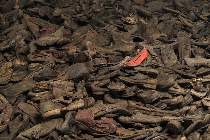 Auschwitz-Birkenau Memorial Entrance Ticket and Guided Tour - A guided visit is worth paying for here