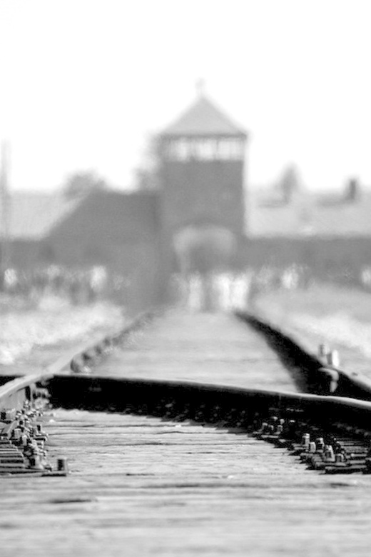 Auschwitz-Birkenau: Memorial Entry Ticket and Guided Tour - Auschwitz I: the first walk through the memorial