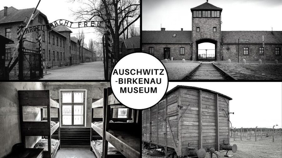 Auschwitz-Birkenau: Museum Entry Ticket with Guided Tour - Meeting at the visitor center