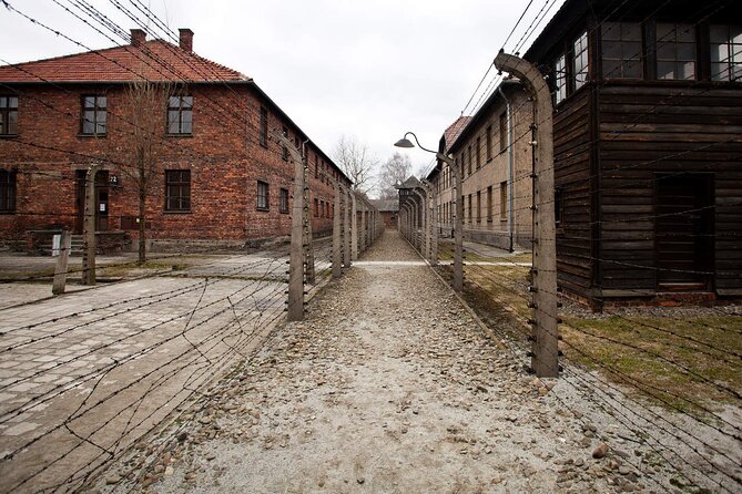 Auschwitz-Birkenau & Salt Mine Day tour - Birkenau: scale, distance, and silence