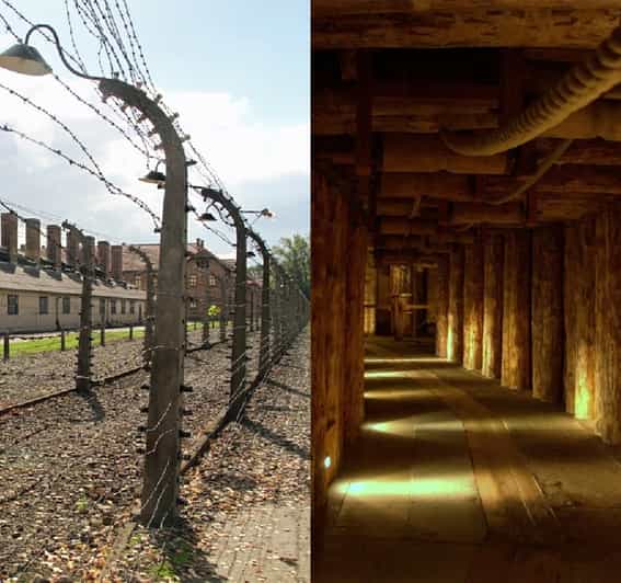 Auschwitz-Birkenau & Salt Mine Tour in One Day from Krakow - Should you book it?