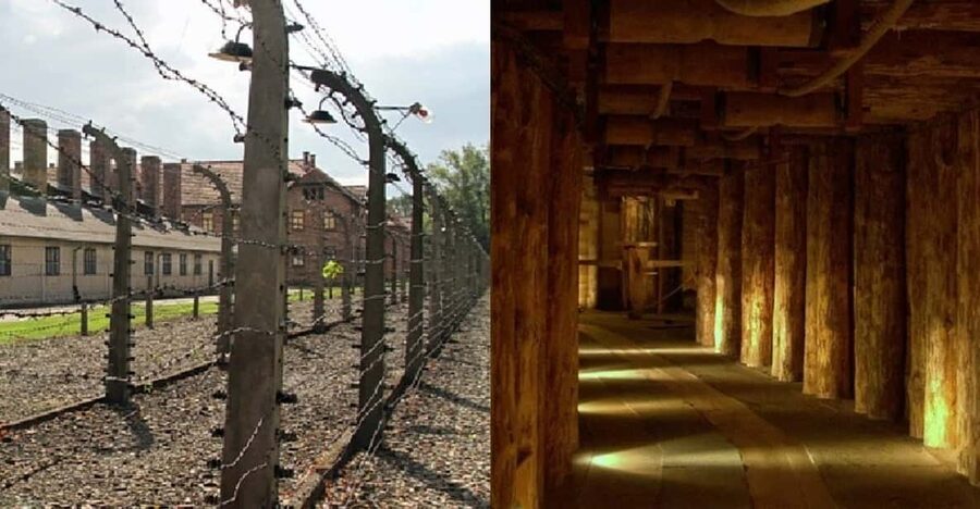 Auschwitz-Birkenau & Salt Mine Tour in One Day from Krakow - What to bring, and what to leave behind