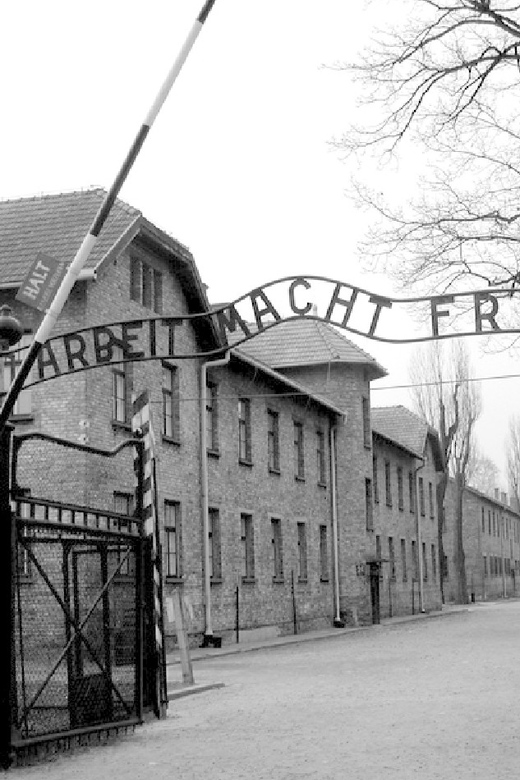 Auschwitz-Birkenau & Salt Mine Tour in One Day from Krakow - Is the $164 price fair?