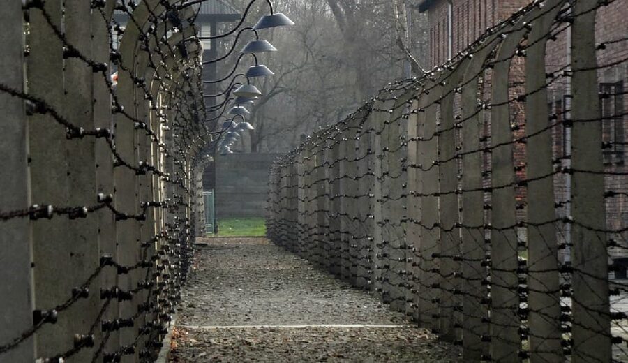 Auschwitz-Birkenau & Salt Mine Tour in One Day from Krakow - Auschwitz-Birkenau: a visit that demands attention