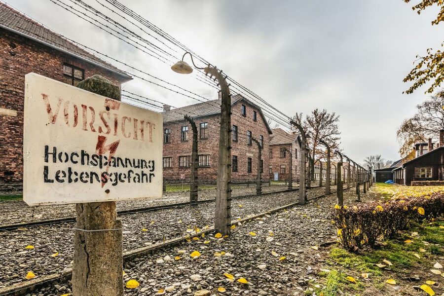 Auschwitz-Birkenau: Skip-the-Line Entry Ticket & Guided Tour - Key points to know before you book