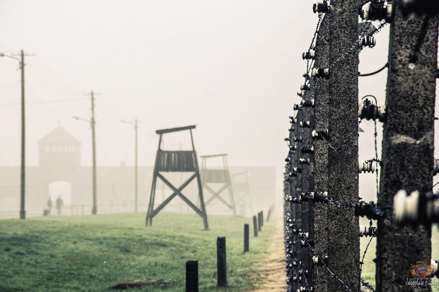 Auschwitz-Birkenau: Skip-the-Line Entry Ticket & Guided Tour - Who should book this guided visit?