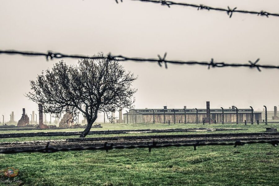 Auschwitz-Birkenau: Skip-the-Line Entry Ticket & Guided Tour - Why this Auschwitz visit matters