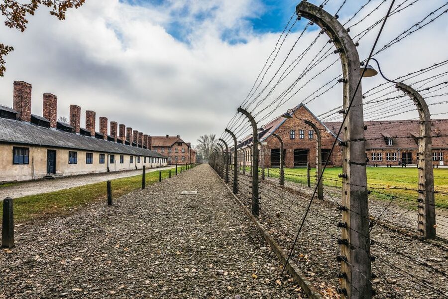 Auschwitz-Birkenau: Skip-the-Line Entry Ticket & Guided Tour - Timing, crowds, and the value of flexibility
