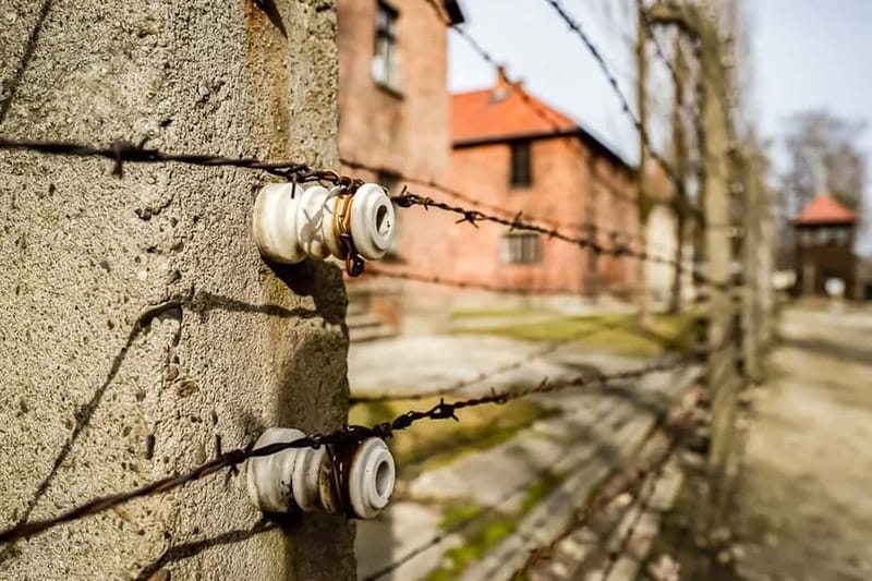 Auschwitz-Birkenau Skip-the-Line Guided Tour - Who this tour suits best