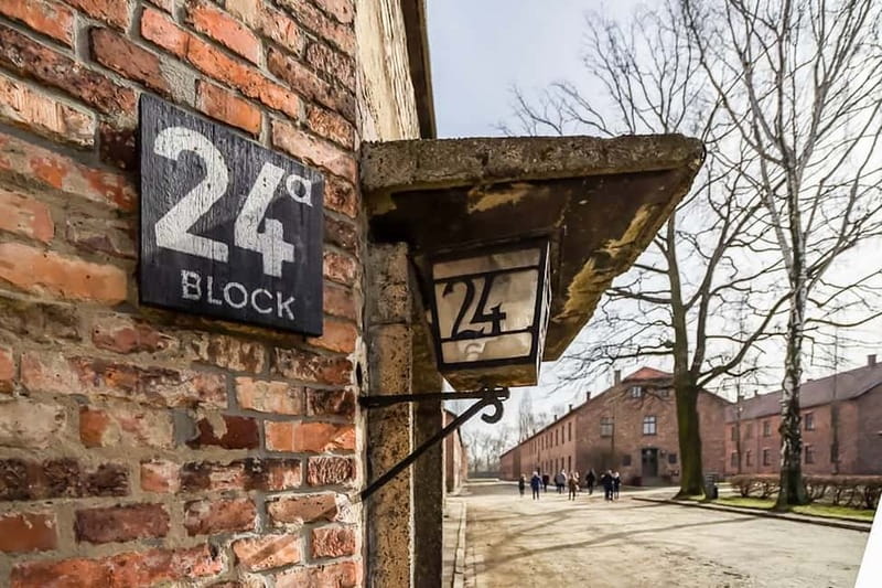 Auschwitz-Birkenau Skip-the-Line Guided Tour - Meeting at Męczeństwa Narodów 14