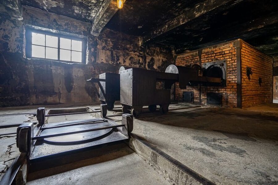 Auschwitz-Birkenau: Skip-the-Line Ticket and Guided Tour - Timing, queues, and the real meaning of skip-the-line