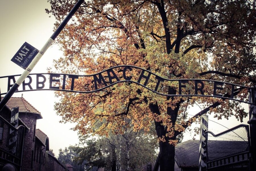 Auschwitz-Birkenau Tour from Katowice with Private Transfers - Key points to know before booking