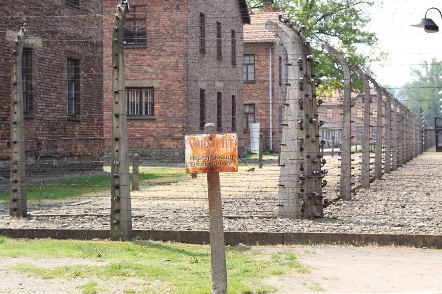 Auschwitz-Birkenau Tour from Katowice with Private Transfers - Birkenau: the larger extermination center