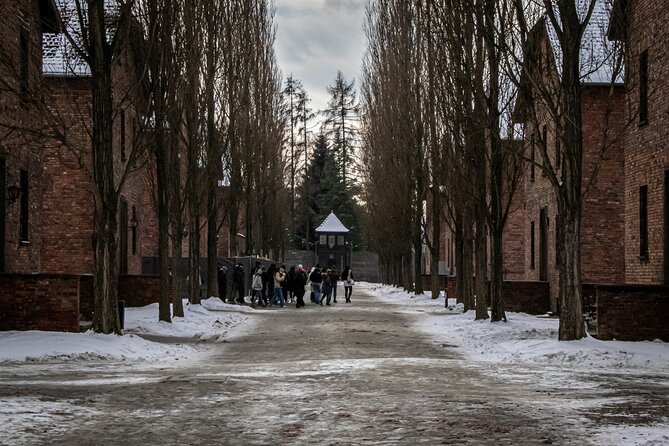 Auschwitz Birkenau Tour from Krakow: Private Transfer + Ticket - Why this Auschwitz visit matters