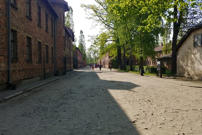 Auschwitz Birkenau Tour with Private Transport from Kraków - Who should book this Auschwitz tour