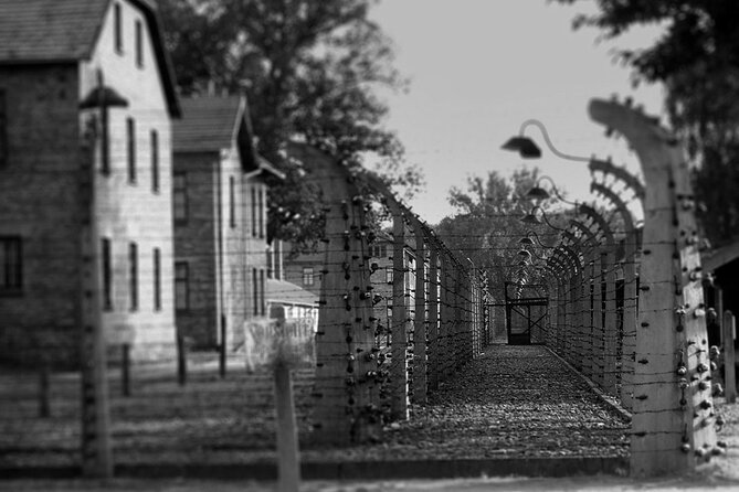 Auschwitz Birkenau Transfer and Guide with Salt Mine Combo Option - Who should choose the combo