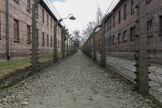 Auschwitz-Birkenau & Wieliczka in one day (Guided tour) - Is $156 a fair price?