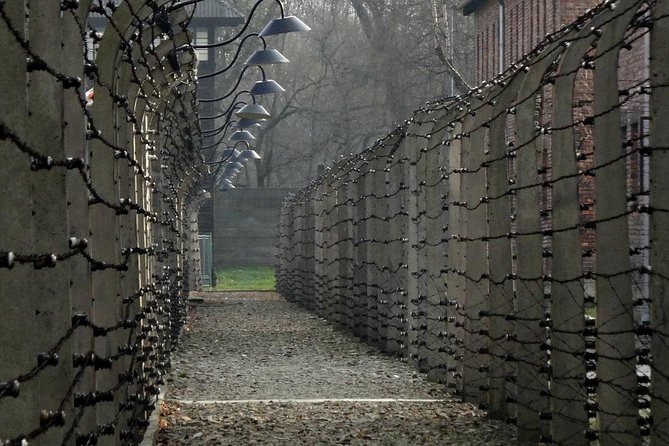 Auschwitz Private Tour - Birkenau: scale, barracks, and the selection ramp