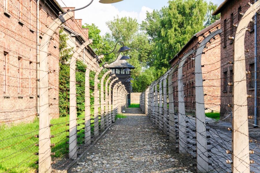 Auschwitz Ticket and Full-Day Tour from Krakow - The 30-minute break and return to Krakow