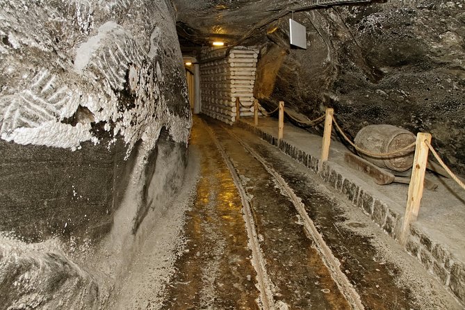 Auschwitz & Wieliczka ONE DAY Guided Tour +Private Transportation - The transfer to Wieliczka is the pressure point