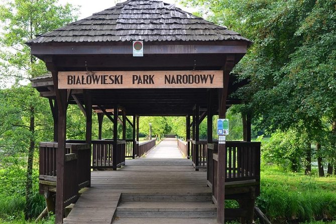 Bialowieza National Park Small Group Tour from Warsaw with Lunch included - Wild bison and the European Bison Reservation